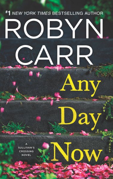 Any Day Now (Sullivan's Crossing, 2) cover