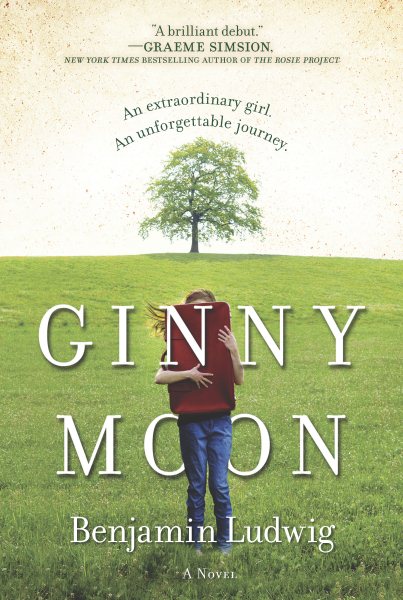 Ginny Moon: A Novel cover