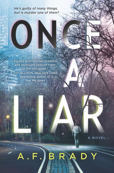 Once a Liar: A Novel cover