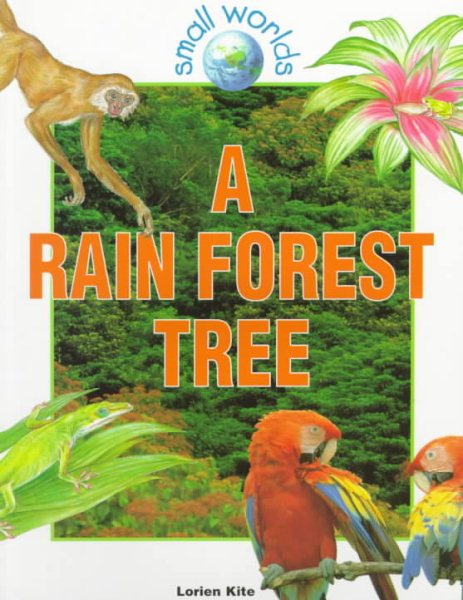 A Rain Forest Tree (Small Worlds) cover