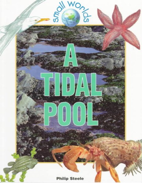A Tidal Pool (Small Worlds)