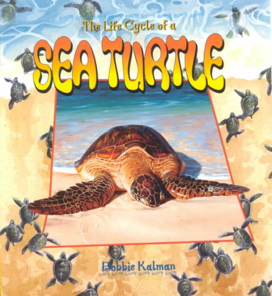 The Life Cycle of a Sea Turtle cover