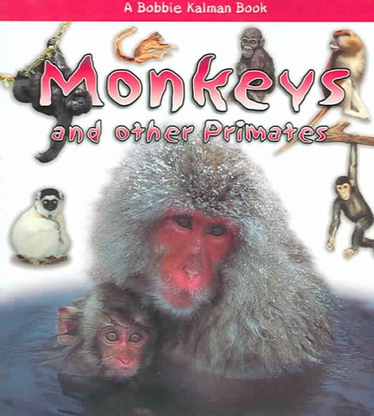 Monkeys and Other Primates (What Kind of Animal Is It?)