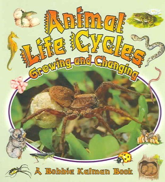 Animal Life Cycles: Growing and Changing (Nature's Changes) cover