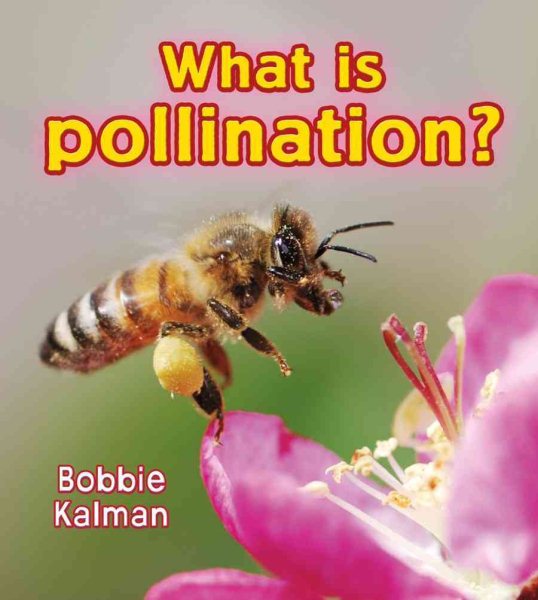 What is Pollination? (Big Science Ideas) cover