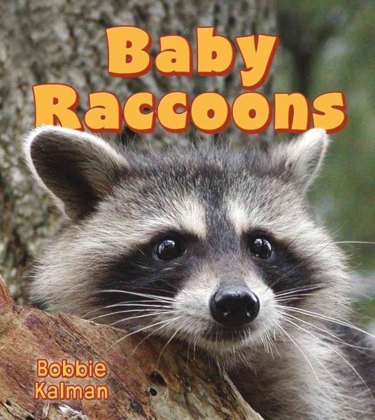 Baby Raccoons (It's Fun to Learn about Baby Animals (Paperback)) cover