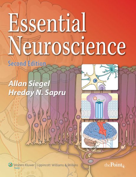 Essential Neuroscience (Point (Lippincott Williams & Wilkins)) cover