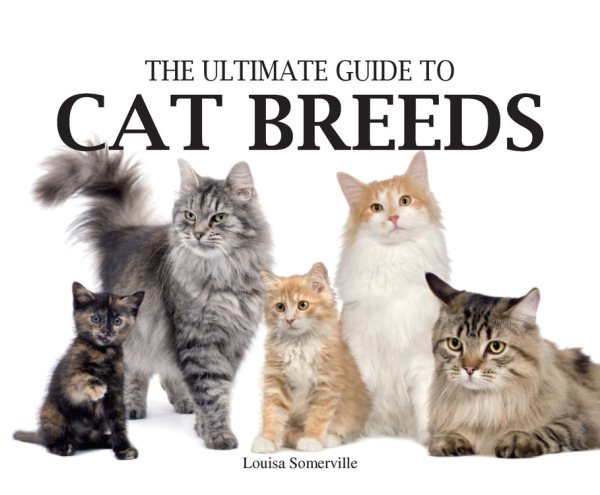 Ultimate Guide to Cat Breeds (Paperback Chunkies) cover