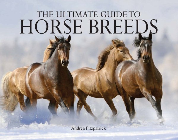 Ultimate Guide to Horse Breeds (Paperback Chunkies) cover