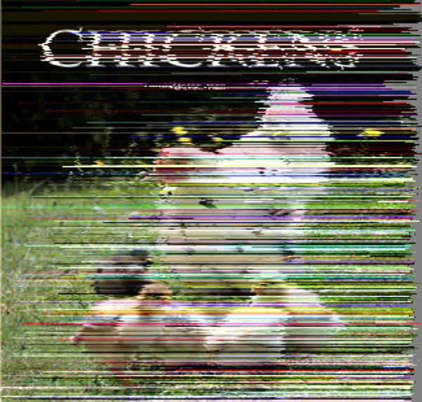 Chickens (Flexi cover series) cover