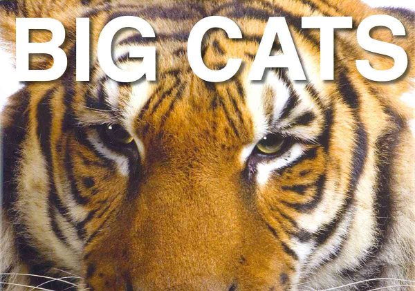 Big Cats: Their Power and Beauty cover
