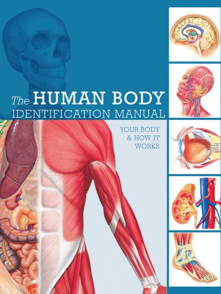 Human Body Identification Manual: Your body and how it works cover