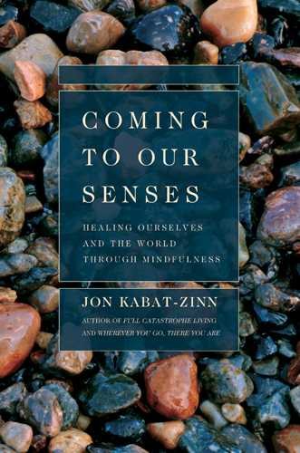 Coming to Our Senses: Healing Ourselves and the World Through Mindfulness cover