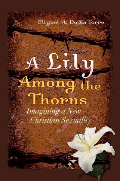 A Lily Among the Thorns: Imagining a New Christian Sexuality cover