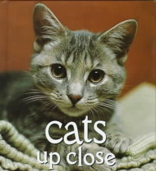 Cats Up Close (Tiny Folio) cover