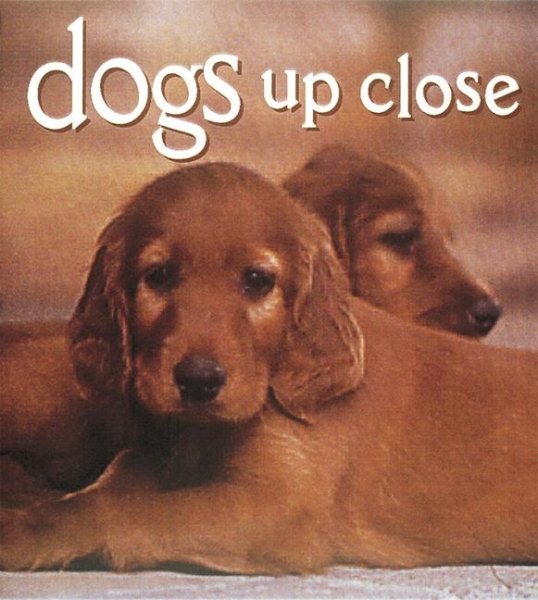 Dogs Up Close (Tiny Folio) cover