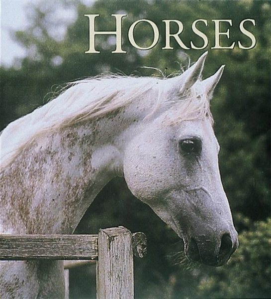 Horses (Tiny Folio) cover