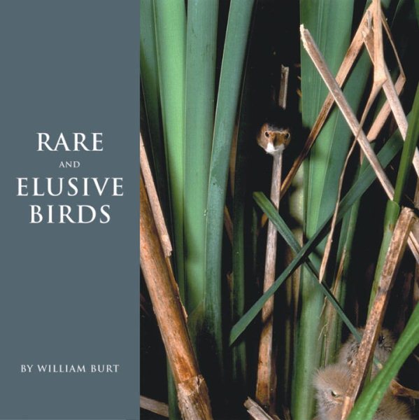 Rare and Elusive Birds of North America cover