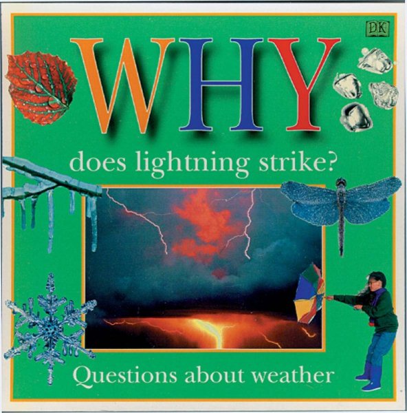 WHY DOES LIGHTNING STRIKE (Why Books) cover