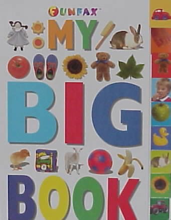 Big Tab Board Books: My Big Book cover