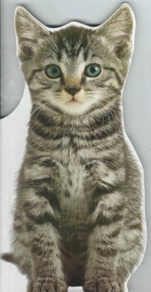 Jumbo Animal Shaped Board Book: Kitten cover