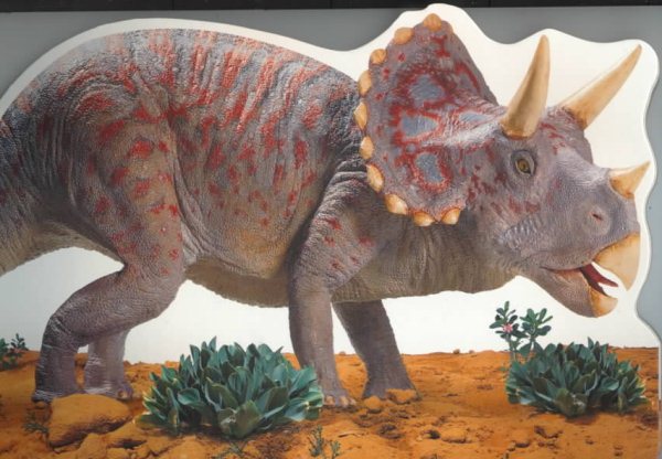 Dinosaur Board Books: Triceratops cover