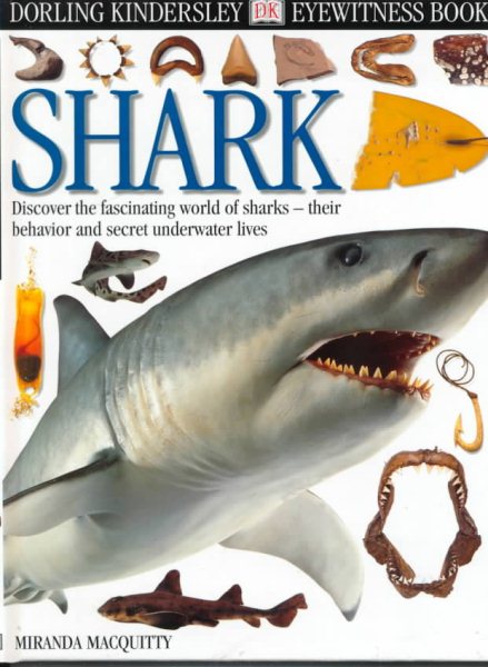 Eyewitness: Shark cover