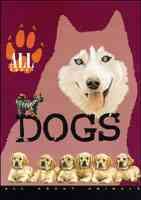 All About Dogs cover