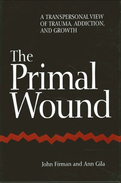 The Primal Wound: A Transpersonal View of Trauma, Addiction, and Growth (S U N Y Series in the Philosophy of Psychology) (Suny Series, Philosophy of Psychology) cover