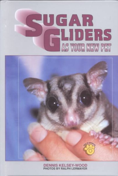 Sugar Glider as Your New Pet