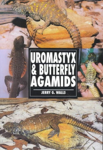 Uromastyx & Butterfly Agamids cover