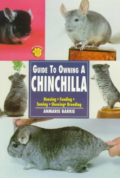 Guide to Owning a Chinchilla
