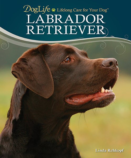 Labrador Retriever (DogLife: Lifelong Care for Your Dog™) cover