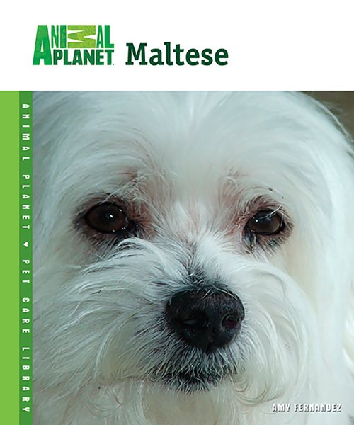 Maltese (Animal Planet® Pet Care Library) cover