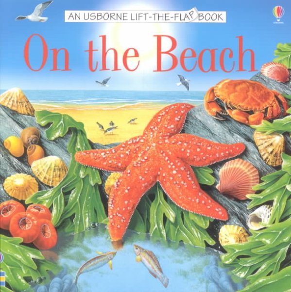 On the Beach (Usborne Lift-the-Flap Book) cover