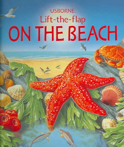 On the Beach (Usborne Lift-the-Flap) cover