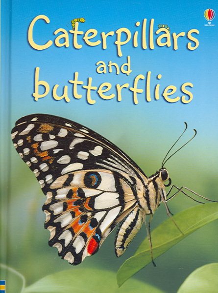 Caterpillars and Butterflies (Beginners Nature, Level 1) cover