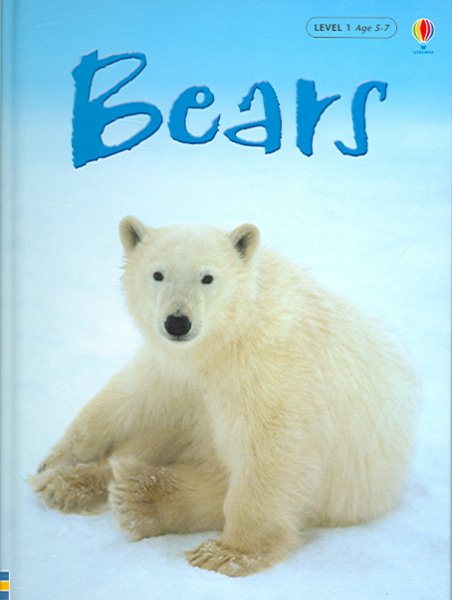 Bears (Beginners Nature - New Format) cover