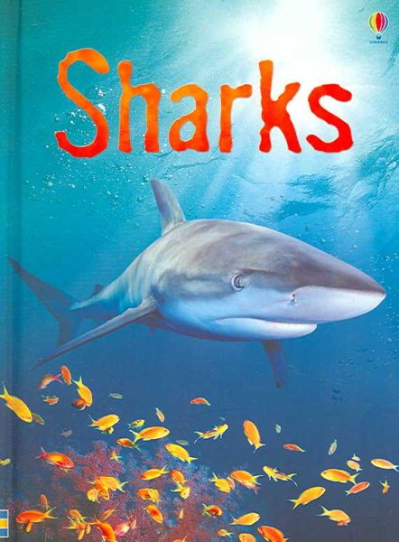 Sharks (Usborne Beginners) cover