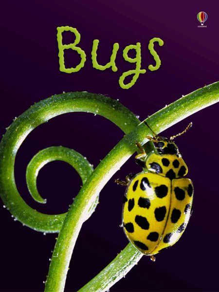 Bugs (Usborne Beginners) cover