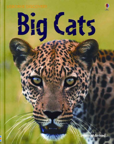 Big Cats (Usborne Discovery) cover