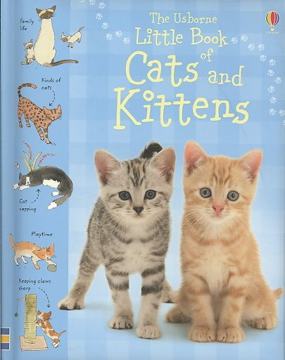 The Usborne Little Book of Cats and Kittens cover