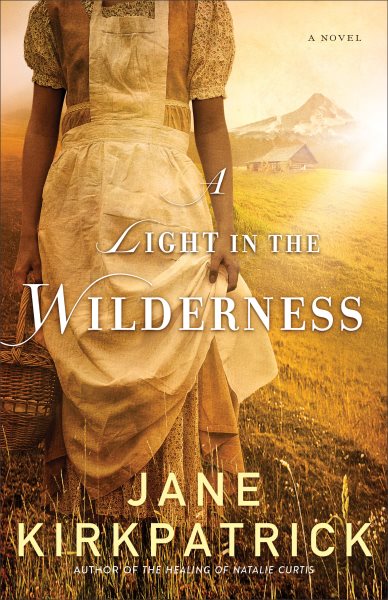 A Light in the Wilderness: A Novel cover