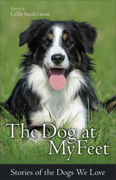 The Dog at My Feet: Stories of the Dogs We Love cover