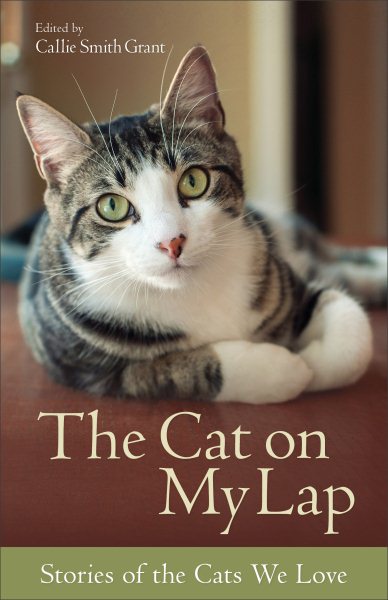 The Cat on My Lap: Stories Of The Cats We Love cover