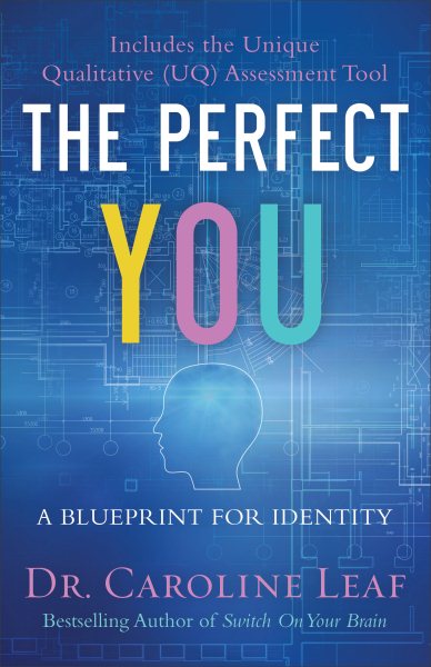 The Perfect You: A Blueprint for Identity cover