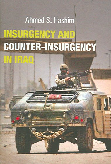 Insurgency and Counter-Insurgency in Iraq cover