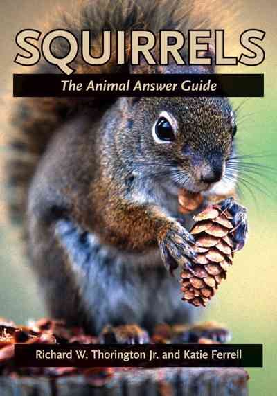 Squirrels: The Animal Answer Guide (The Animal Answer Guides: Q&A for the Curious Naturalist) cover