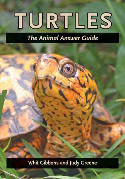 Turtles: The Animal Answer Guide (The Animal Answer Guides: Q&A for the Curious Naturalist) cover