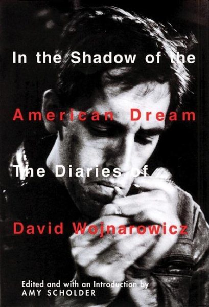 In the Shadow of the American Dream: The Diaries of David Wojnarowicz cover